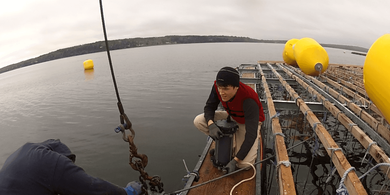 Two engineers work on a load cell installation in a partially exposed harbor