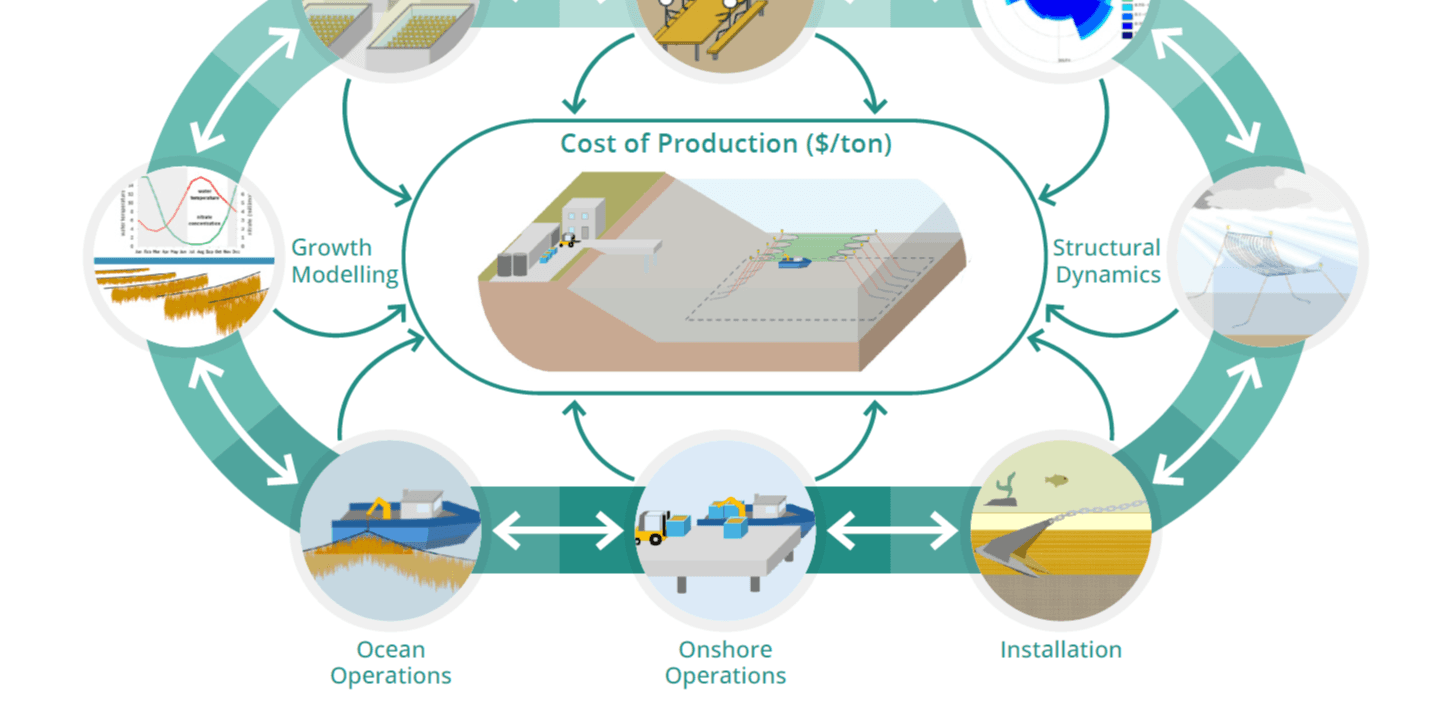 Moscicki et al 2025_Comprehensive seaweed COP