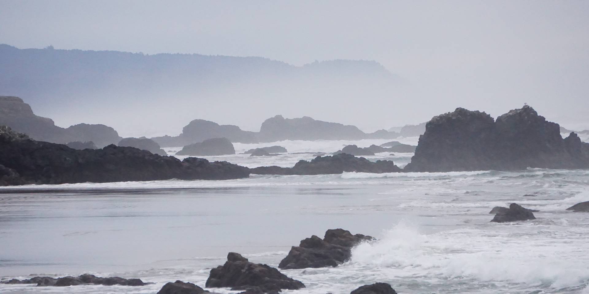 Oregon coastal rocks