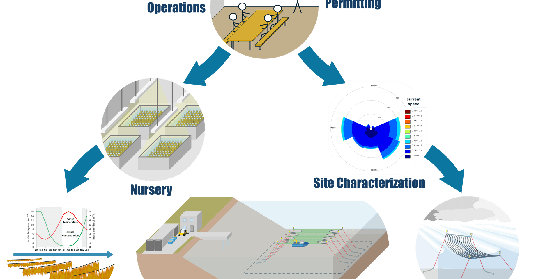 Coupled kelp economic analysis